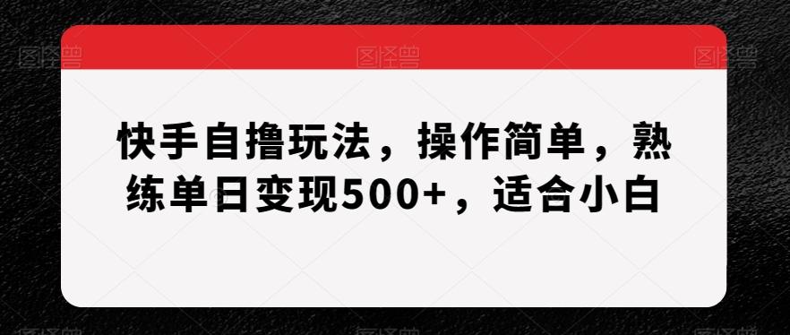 快手自撸玩法，操作简单，熟练单日变现500+，适合小白【揭秘】-E网资源
