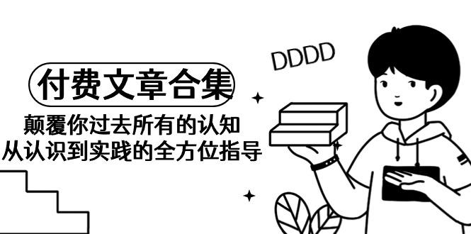 (9646期)《某公众号付费文章合集》颠覆你过去所有的认知 从认识到实践的全方位指导-E网资源