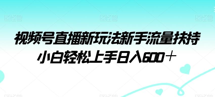 视频号直播新玩法新手流量扶持小白轻松上手日入600＋【揭秘】-E网资源