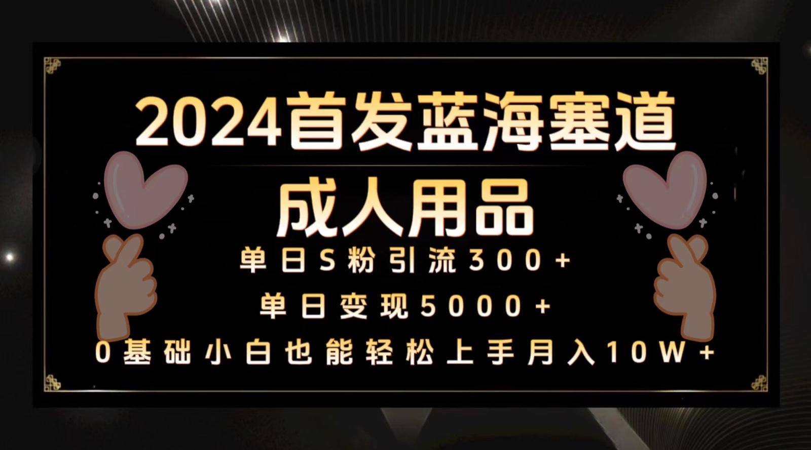 2024首发蓝海塞道成人用品,月入10W+保姆教程-E网资源