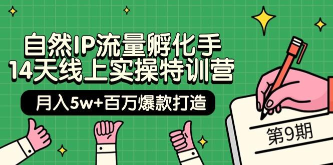 (9881期)自然IP流量孵化手 14天线上实操特训营【第9期】月入5w+百万爆款打造 (74节)-E网资源