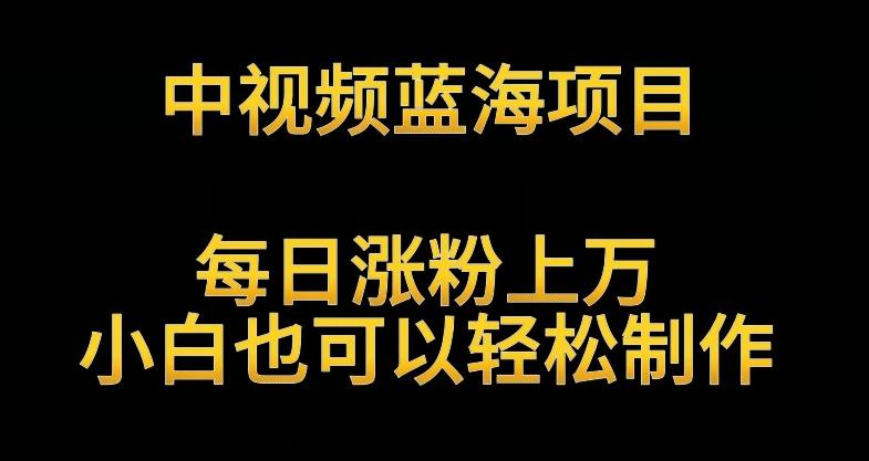 中视频蓝海项目，解读英雄人物生平，每日涨粉上万，小白也可以轻松制作，月入过万不是梦【揭秘】-E网资源