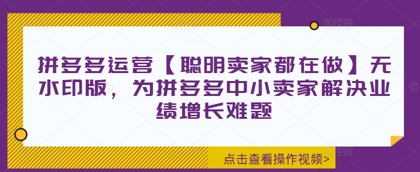 拼多多运营【聪明卖家都在做】无水印版，为拼多多中小卖家解决业绩增长难题-E网资源