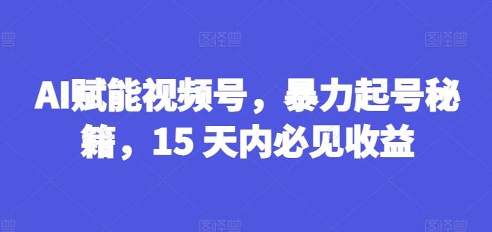 AI赋能视频号，暴力起号秘籍，15 天内必见收益【揭秘】-E网资源