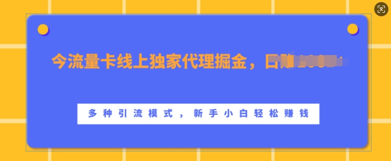 流量卡线上独家代理掘金，日入1k+ ，多种引流模式，新手小白轻松上手【揭秘】-E网资源