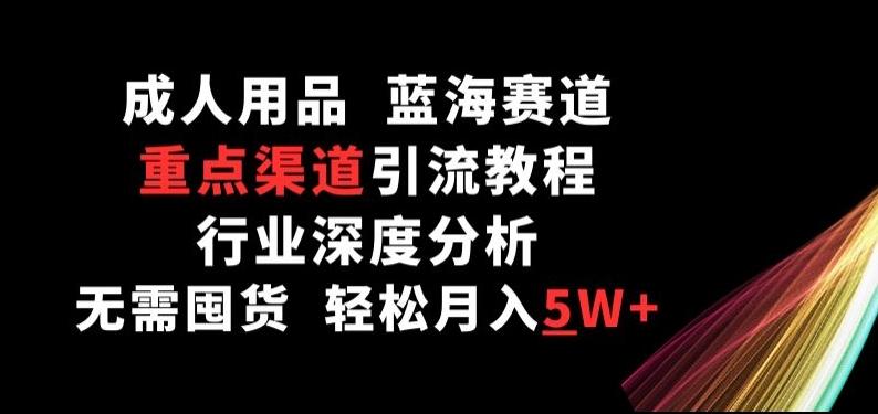 成人用品，蓝海赛道，重点渠道引流教程，行业深度分析，无需囤货，轻松月入5W+【揭秘】-E网资源