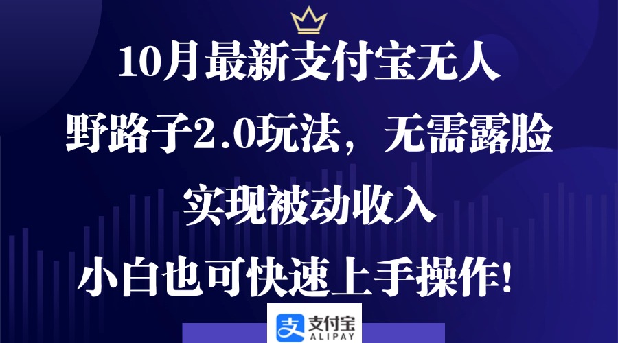10月最新支付宝无人野路子2.0玩法，无需露脸，实现被动收入，小白也可...-E网资源
