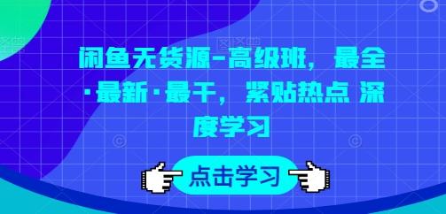 闲鱼无货源-高级班，最全·最新·最干，紧贴热点 深度学习-E网资源
