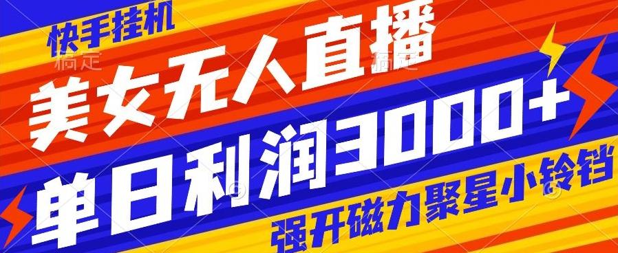快手挂机，美女无人直播，强开磁力聚星小铃铛，日入3000+-E网资源