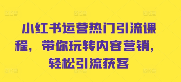 小红书运营热门引流课程，带你玩转内容营销，轻松引流获客-E网资源