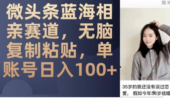 微头条蓝海相亲赛道，无脑复制粘贴，单账号日入100+-E网资源