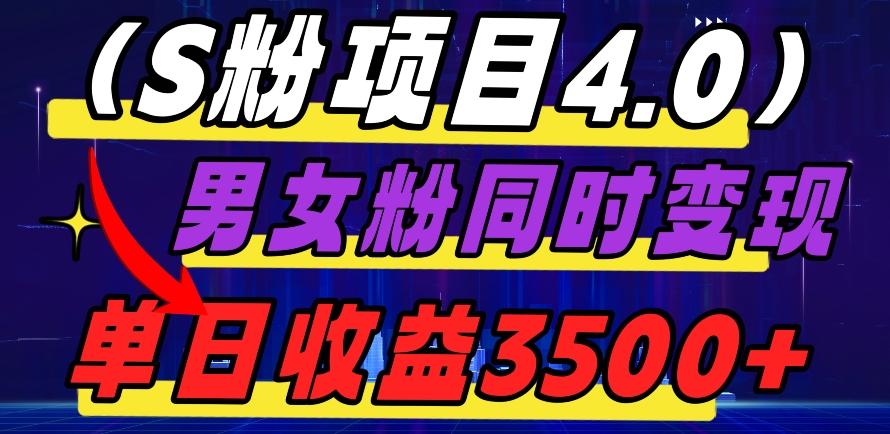 S粉项目4.0，男女粉通吃，男女粉同时变现，单日收益3500+-E网资源