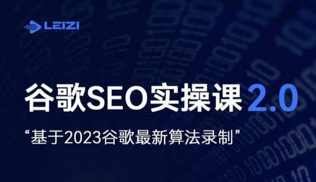 雷子·谷歌SEO 2.0实战课，独立站询盘自由必备，基于2023谷歌最新算法录制-E网资源