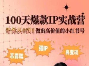 小红书100天爆款IP实战营，带你从0到1做出高价值的小红书号-E网资源