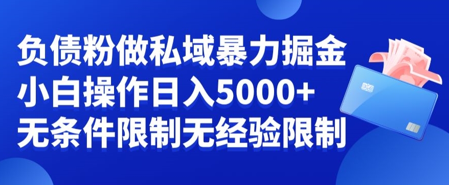 负债粉私域暴力掘金，小白操作入5000，无经验限制，无条件限制【揭秘】-E网资源