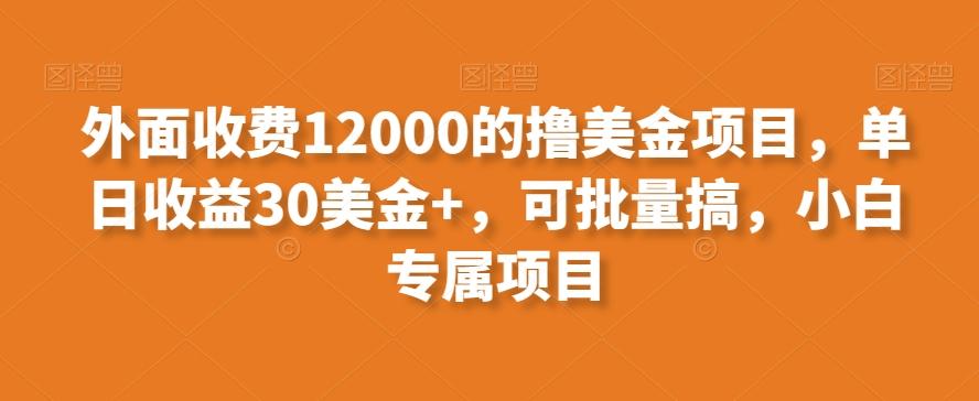 外面收费12000的撸美金项目，单日收益30美金+，可批量搞，小白专属项目-E网资源