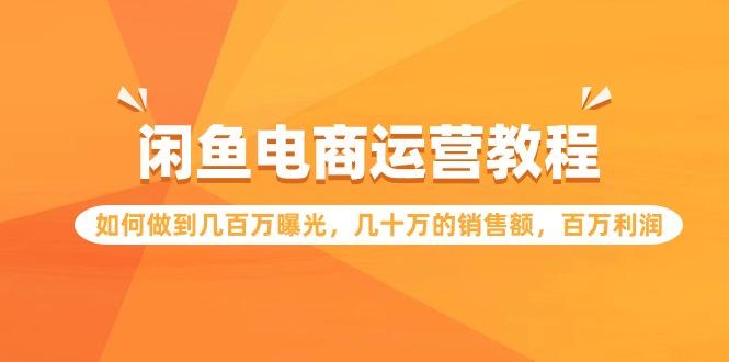 (9560期)闲鱼电商运营教程：如何做到几百万曝光，几十万的销售额，百万利润-E网资源