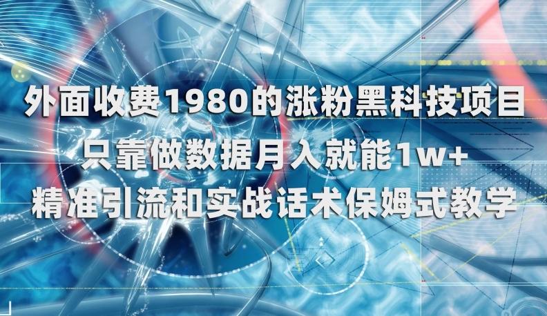 外面收费1980的涨粉黑科技项目，只靠做数据月入就能1w+【揭秘】-E网资源