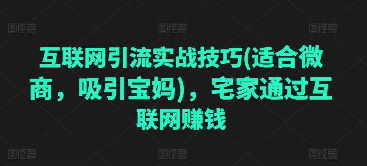 互联网引流实战技巧(适合微商，吸引宝妈)，宅家通过互联网赚钱-E网资源