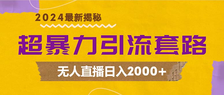 超暴力引流套路，无人直播日入2000+-E网资源