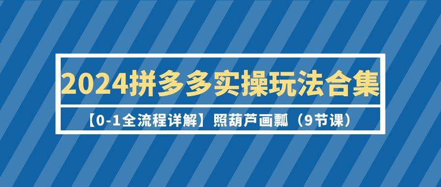 (9559期)2024拼多多实操玩法合集【0-1全流程详解】照葫芦画瓢(9节课)-E网资源