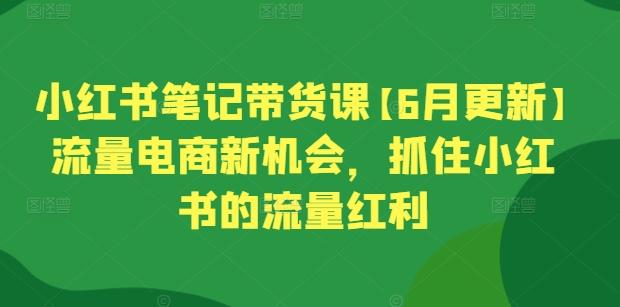 小红书笔记带货课【6月更新】流量电商新机会，抓住小红书的流量红利-E网资源