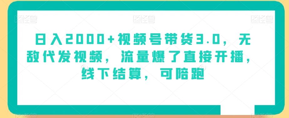 日入2000+视频号带货3.0，无敌代发视频，流量爆了直接开播，线下结算，可陪跑-E网资源