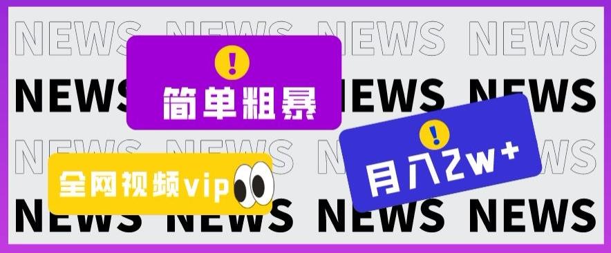 简单粗暴零成本，高回报，全网视频VIP掘金项目，月入2万＋【揭秘】-E网资源