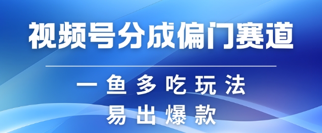 视频号创作者分成计划偏门类目，容易爆流，实拍内容简单易做【揭秘】-E网资源
