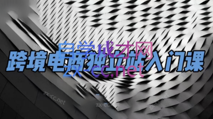 团长·跨境电商独立站入门课(2小时精华)-E网资源