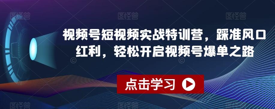 视频号短视频实战特训营，踩准风口红利，轻松开启视频号爆单之路-E网资源