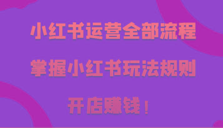 小红书运营全部流程，掌握小红书玩法规则，开店赚钱！-E网资源