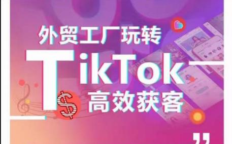 外贸工厂玩转TikTok高效获客，多种引流方式与账号定位技巧，拆解爆款短视频打造成功案例-E网资源