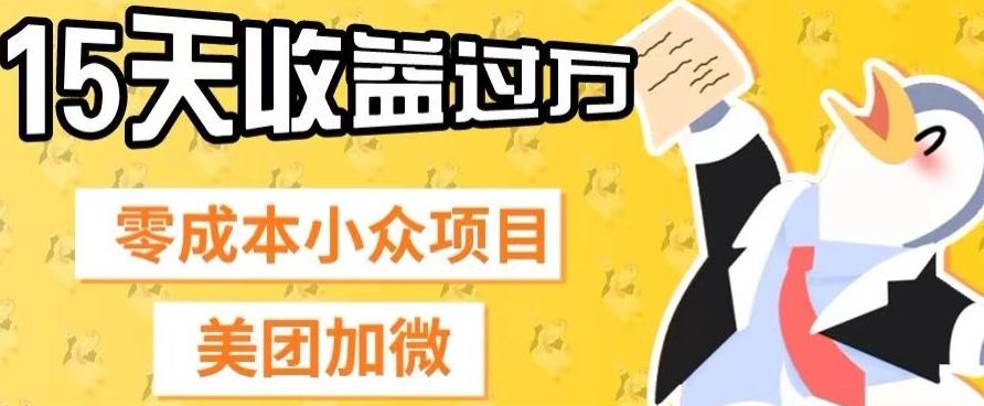 零成本小众项目，美团加微，一单4.5+，15天已经有人赚上万收益-E网资源