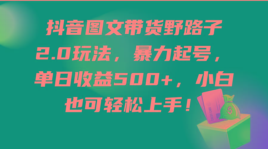 (9790期)抖音图文带货野路子2.0玩法，暴力起号，单日收益500+，小白也可轻松上手！-E网资源