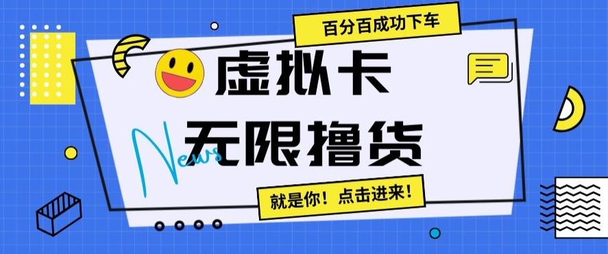 虚拟卡无限撸货，百分百成功下车【仅揭秘】-E网资源