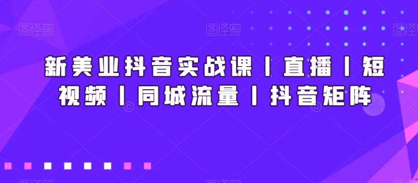 新美业抖音实战课丨直播丨短视频丨同城流量丨抖音矩阵-E网资源