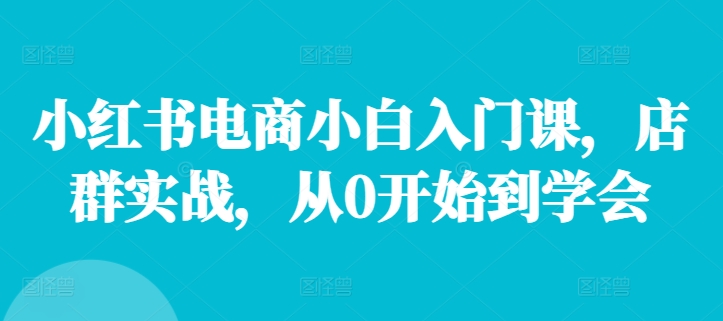 小红书电商小白入门课，店群实战，从0开始到学会-E网资源