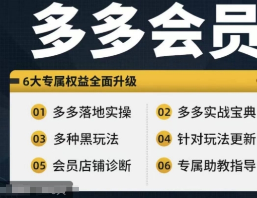拼多多会员，拼多多实战宝典+实战落地实操，从新手到高阶内容全面覆盖-E网资源