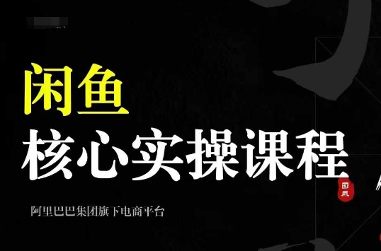 2024闲鱼核心实操课程，从养号、选品、发布、销售，教你做一个出单的闲鱼号-E网资源