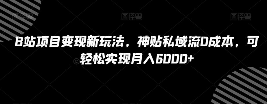 B站项目变现新玩法，神贴私域流0成本，可轻松实现月入6000+【揭秘】-E网资源