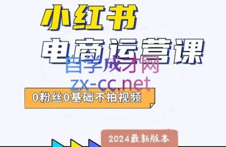 达哥·小红书电商运营(2024版)-E网资源