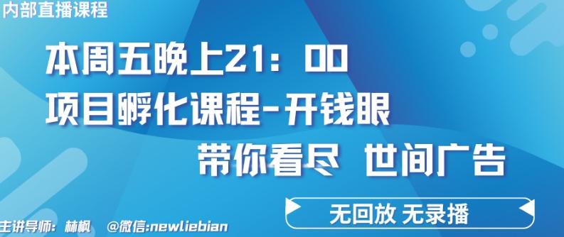 4.26日内部回放课程《项目孵化-开钱眼》赚钱的底层逻辑【揭秘】-E网资源