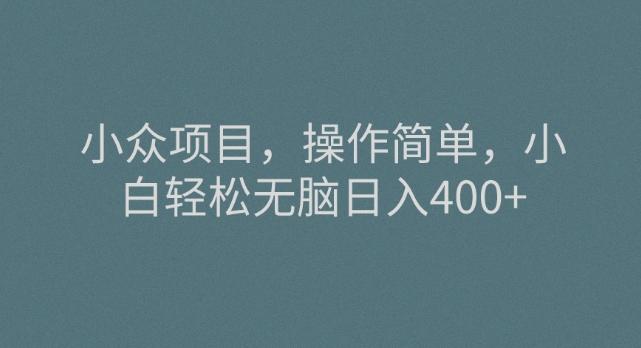 小众项目，操作简单，小白轻松无脑日入400+-E网资源