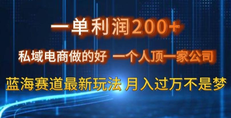一单利润200私域电商做的好，一个人顶一家公司蓝海赛道最新玩法【揭秘】-E网资源