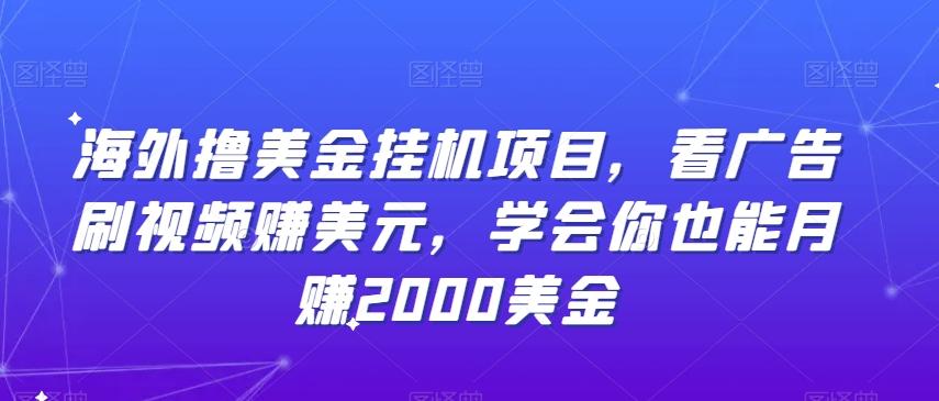 海外撸美金挂机项目，看广告刷视频赚美元，学会你也能月赚2000美金-E网资源