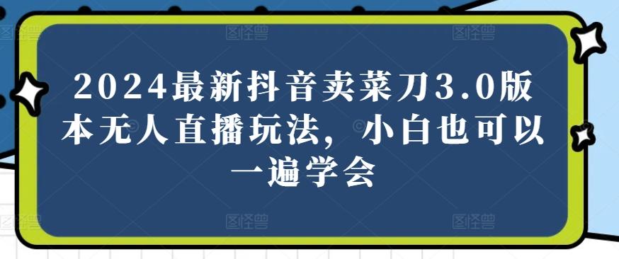 2024最新抖音卖菜刀3.0版本无人直播玩法，小白也可以一遍学会【揭秘】-E网资源