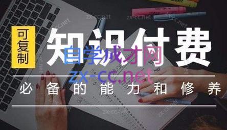 君哥·IP合伙人知识付费虚拟项目(更新24年6月)-E网资源