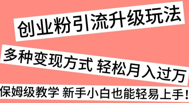 创业粉引流升级玩法，多种变现方式轻松月入过万，保姆级教学新手小白也能轻易上手！-E网资源