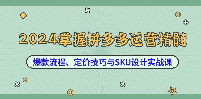 2024掌握拼多多运营精髓：爆款流程、定价技巧与SKU设计实战课-E网资源